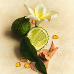 Skin Perfecting Body Lotion - Easy Set